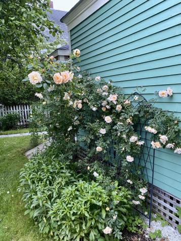 14 Water Street Vinalhaven ME 04863