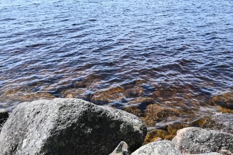 101 Loon Drive Sullivan ME 04664