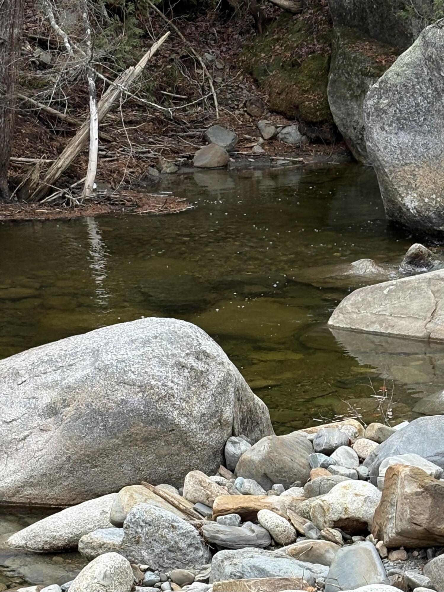 645 Reeds Mill Road Madrid Twp ME 04966