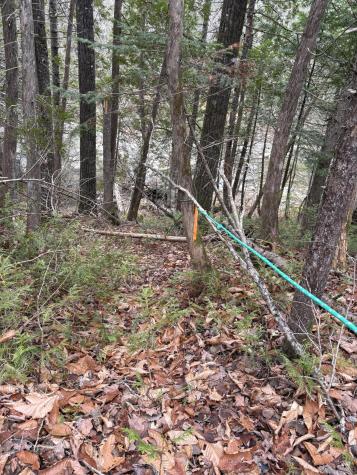 645 Reeds Mill Road Madrid Twp ME 04966