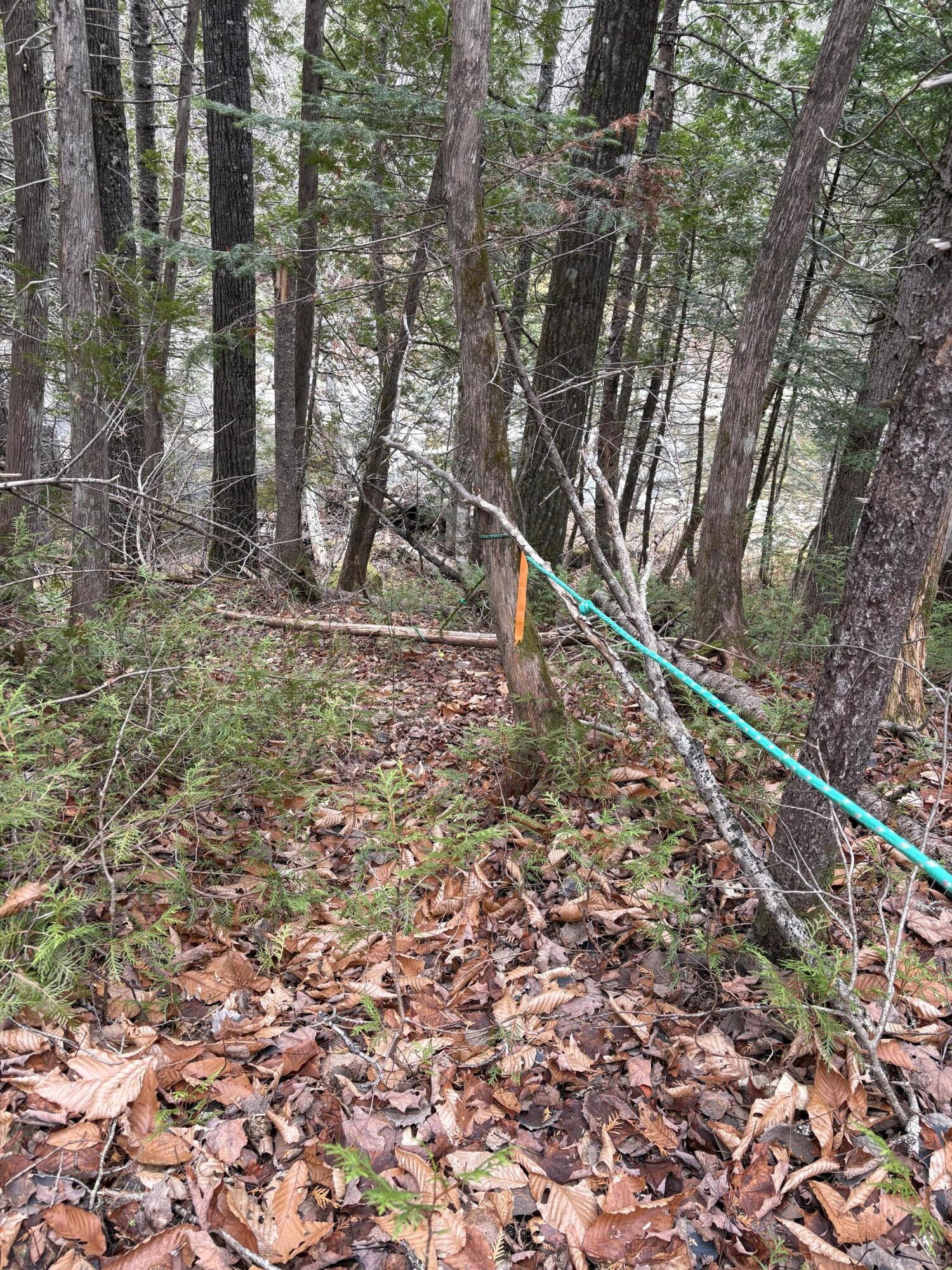 645 Reeds Mill Road Madrid Twp ME 04966