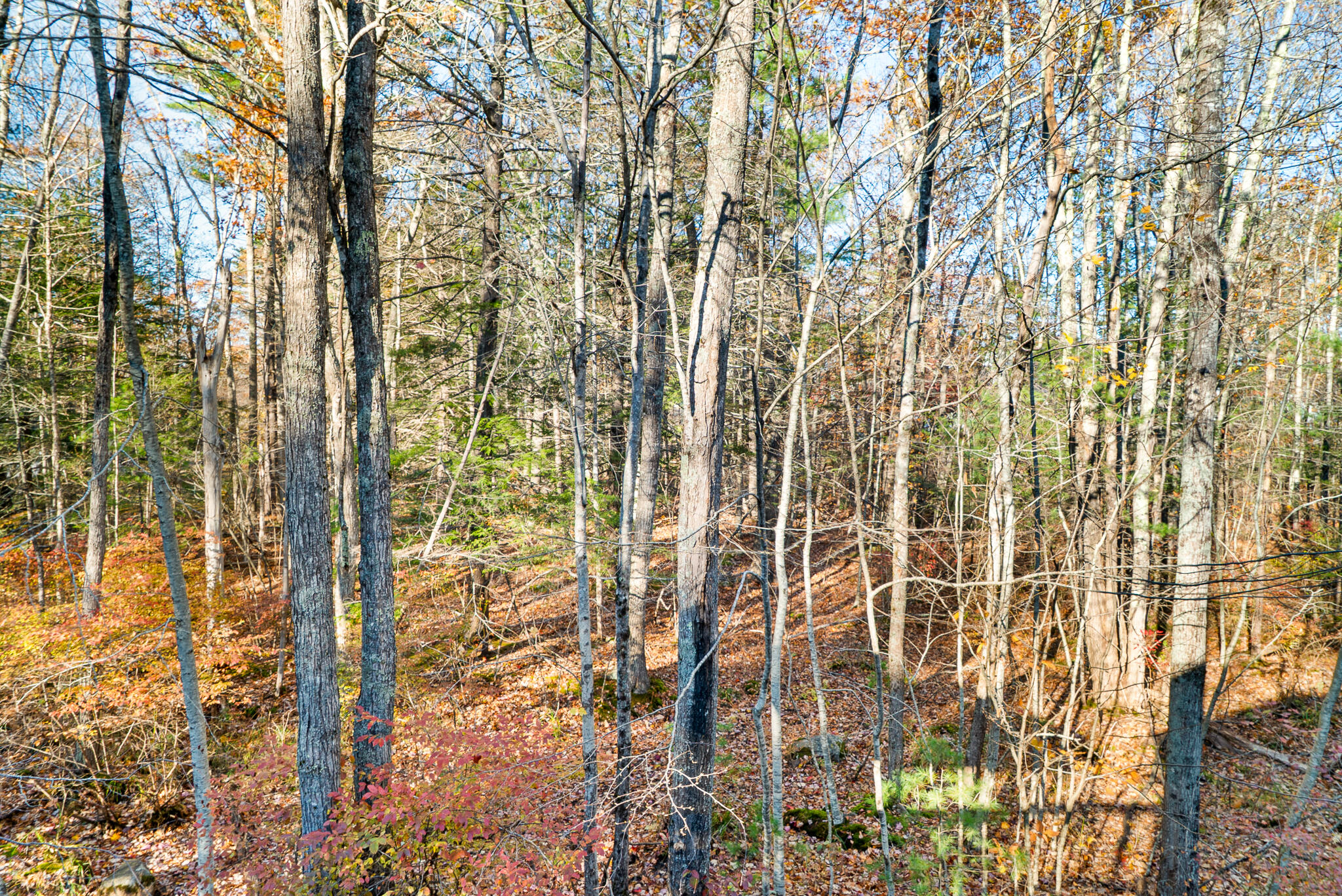 14 Maple Street Ogunquit ME 03907