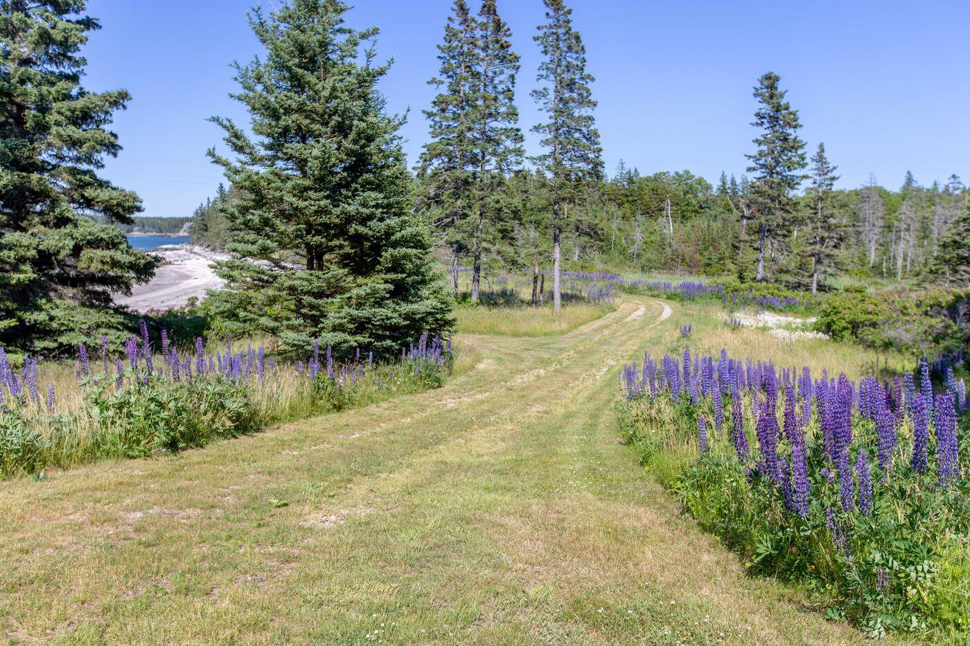 Lot 001 Sheephead Island Deer Isle ME 04627