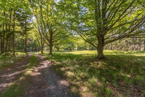 Lot 001 Sheephead Island Deer Isle ME 04627