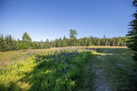 Lot 001 Sheephead Island Deer Isle ME 04627