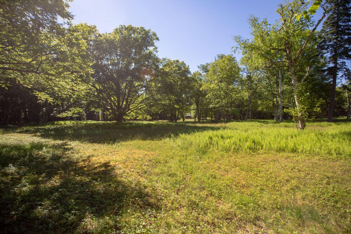 Lot 001 Sheephead Island Deer Isle ME 04627