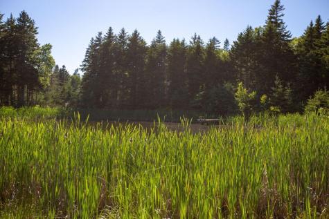 Lot 001 Sheephead Island Deer Isle ME 04627