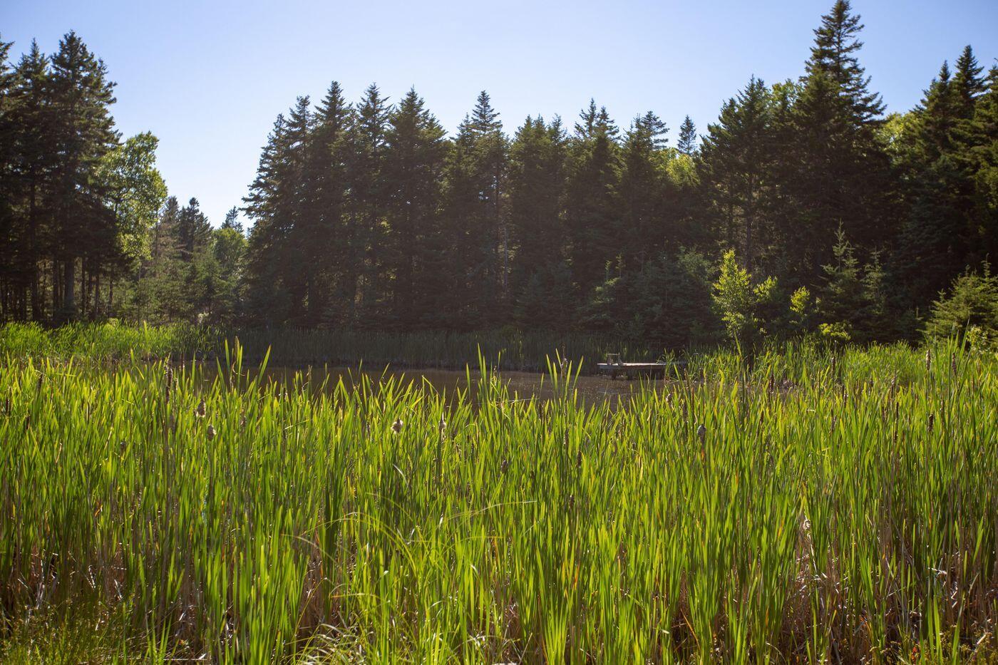 Lot 001 Sheephead Island Deer Isle ME 04627