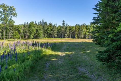 Lot 001 Sheephead Island Deer Isle ME 04627