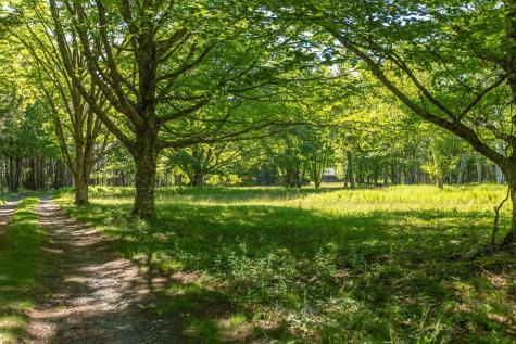 Lot 001 Sheephead Island Deer Isle ME 04627