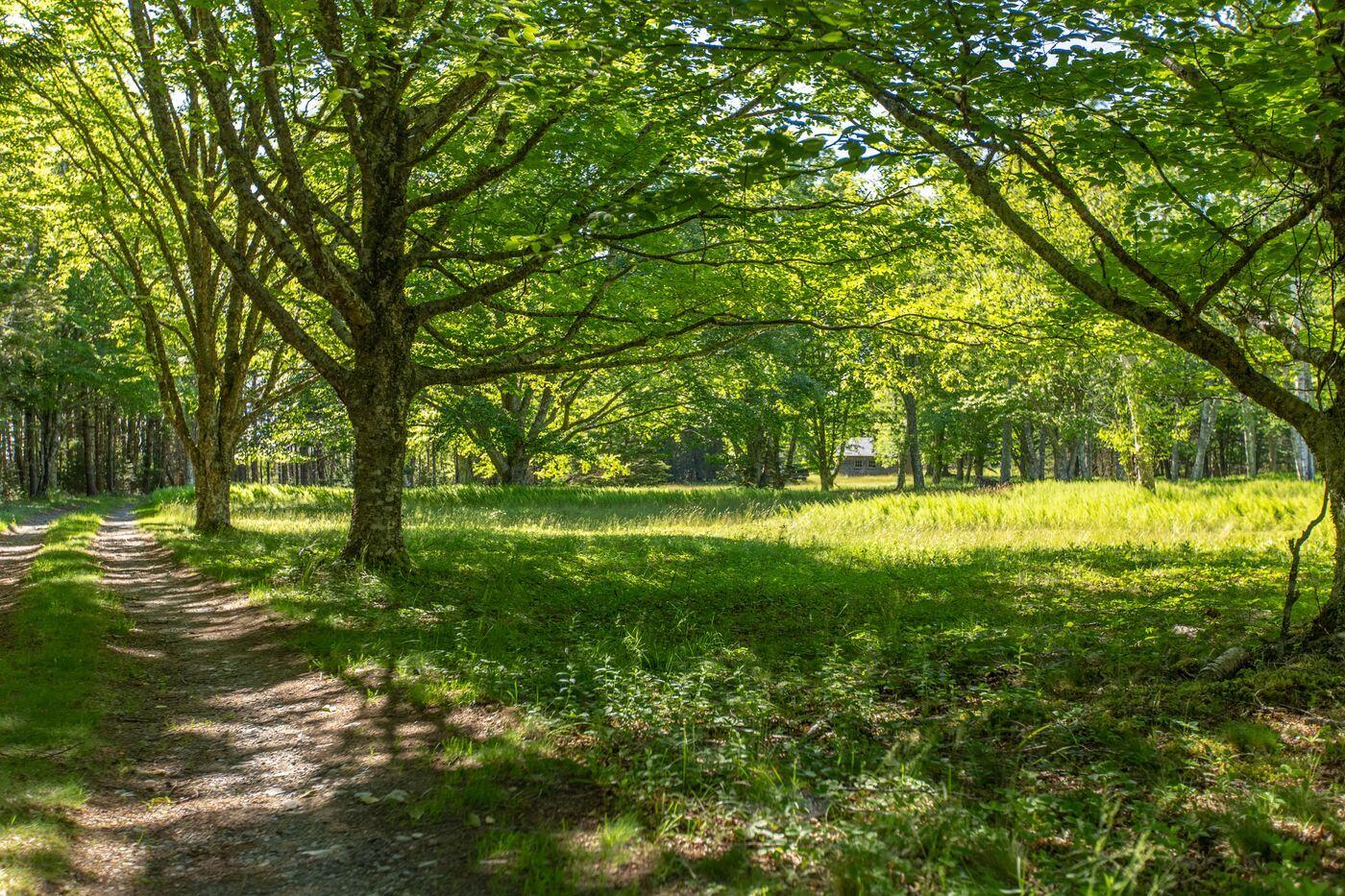 Lot 001 Sheephead Island Deer Isle ME 04627