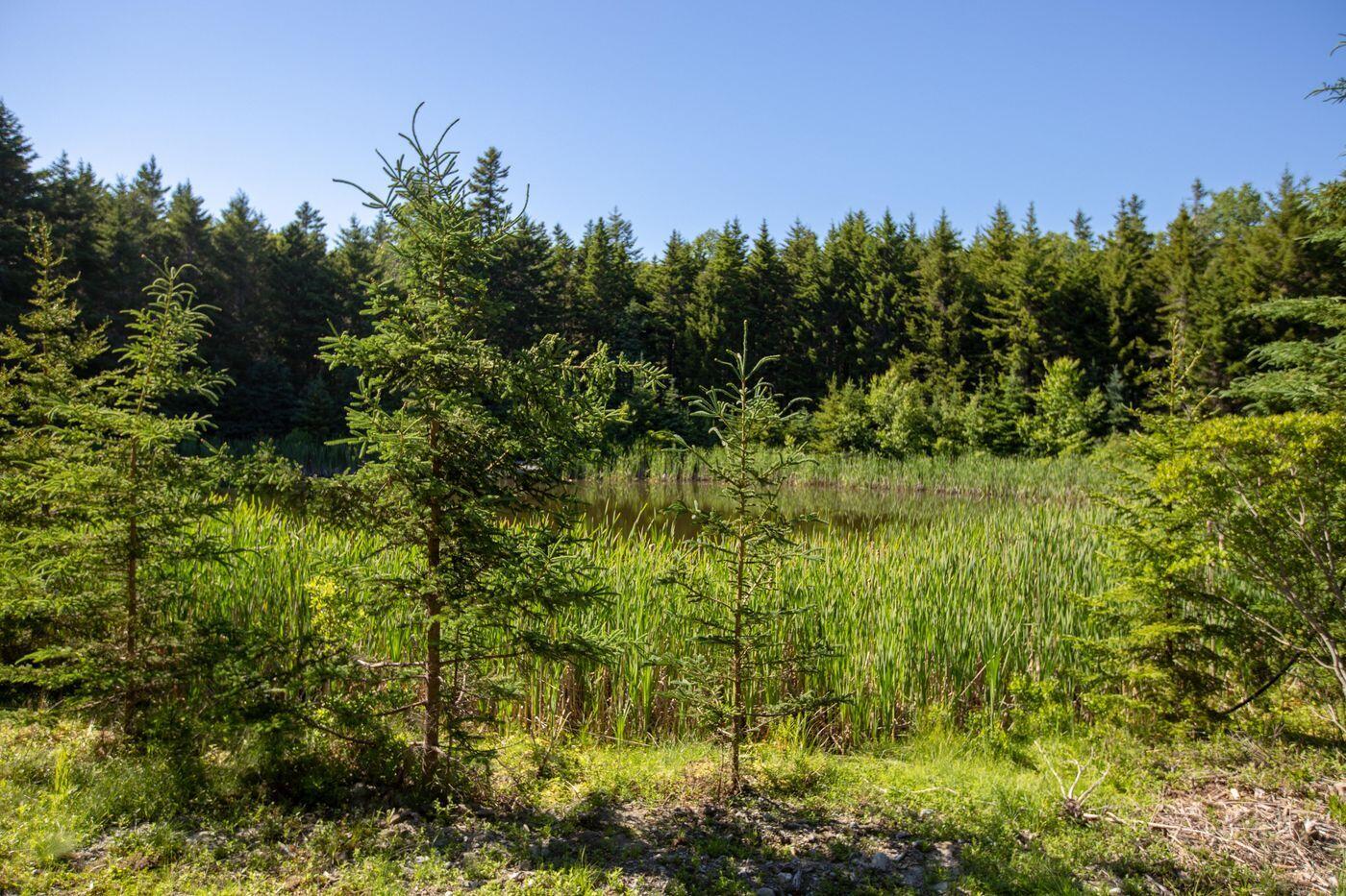 Lot 001 Sheephead Island Deer Isle ME 04627