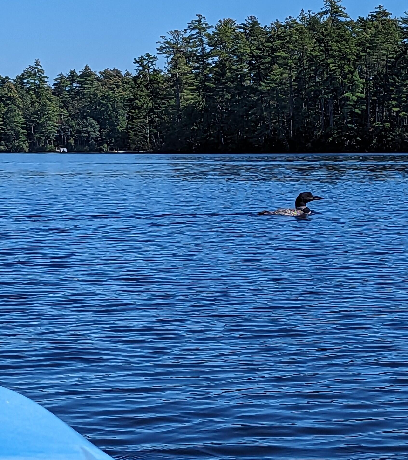 4 Watchic Road 15 Standish ME 04084