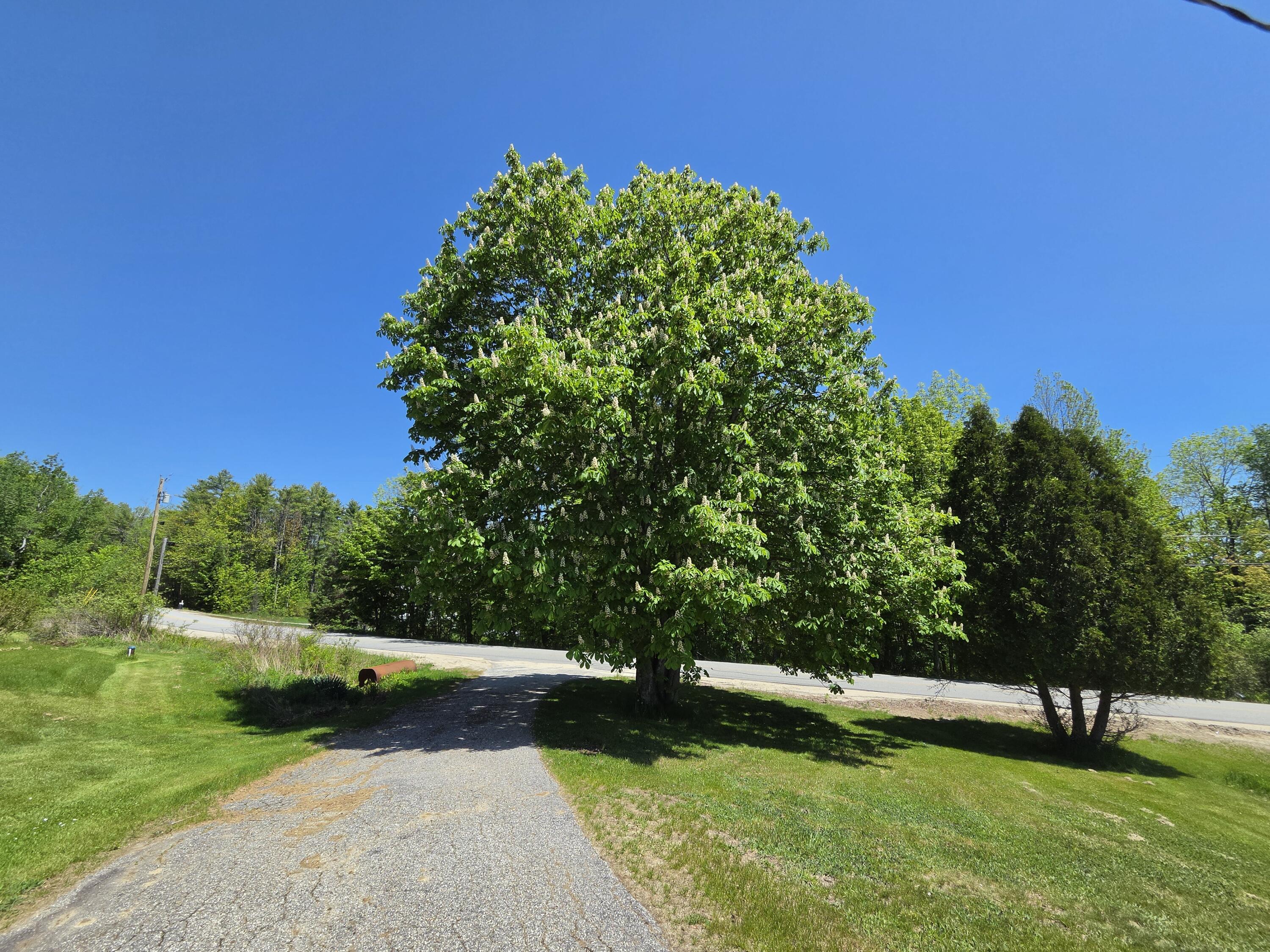 842 Brighton Hill Road Minot ME 04258