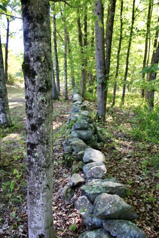 850 Lawrence Road Pownal ME 04069