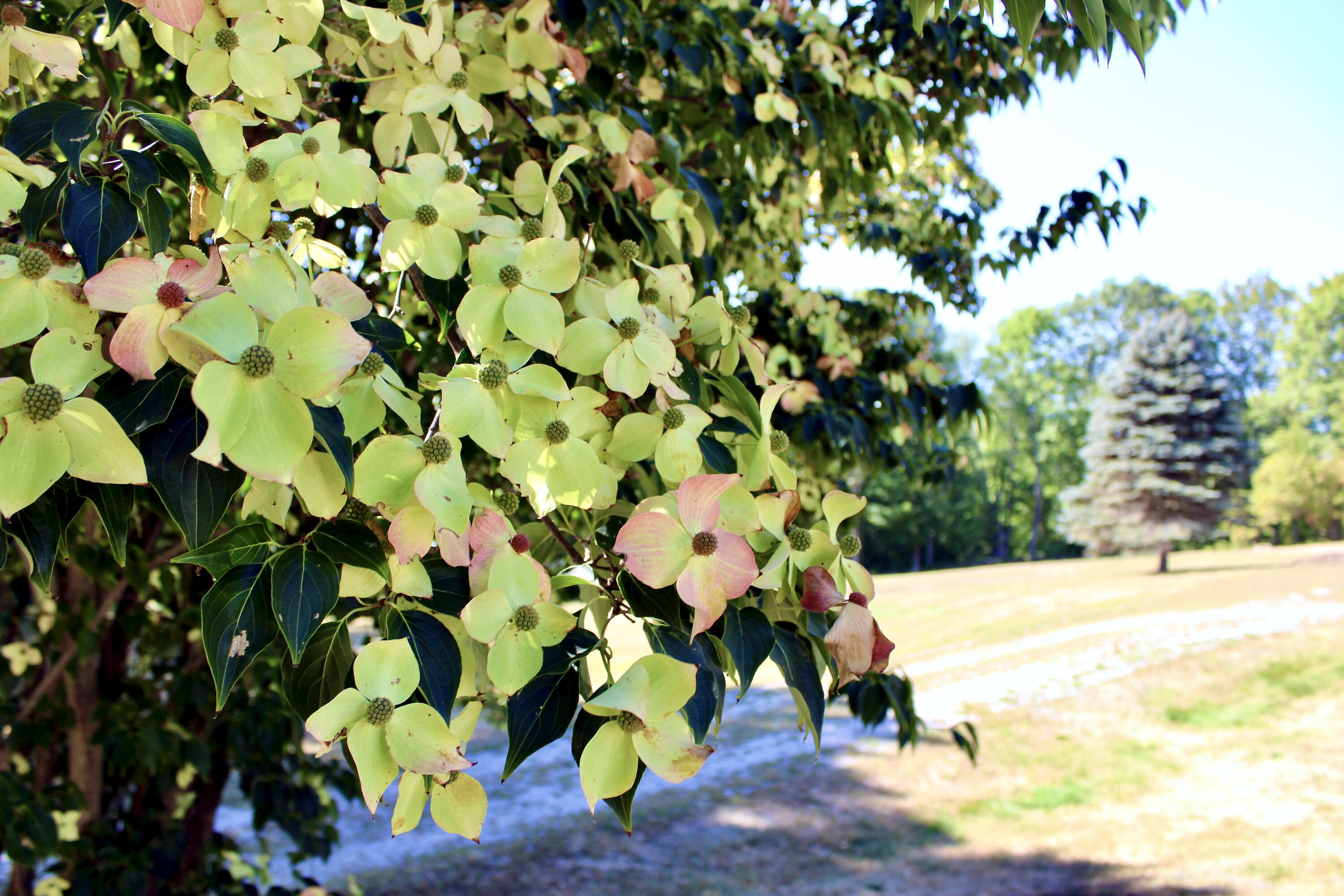 850 Lawrence Road Pownal ME 04069