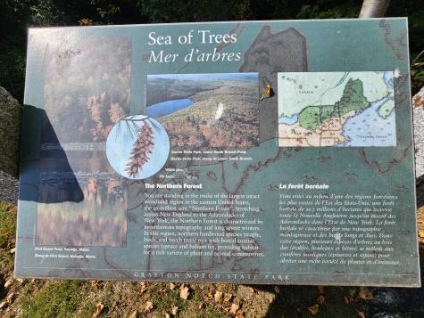 34 Partridge Road Upton ME 04261