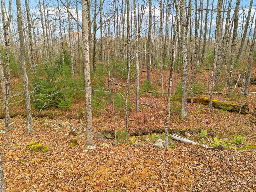 45 Marden Shore Road Albion ME 04910