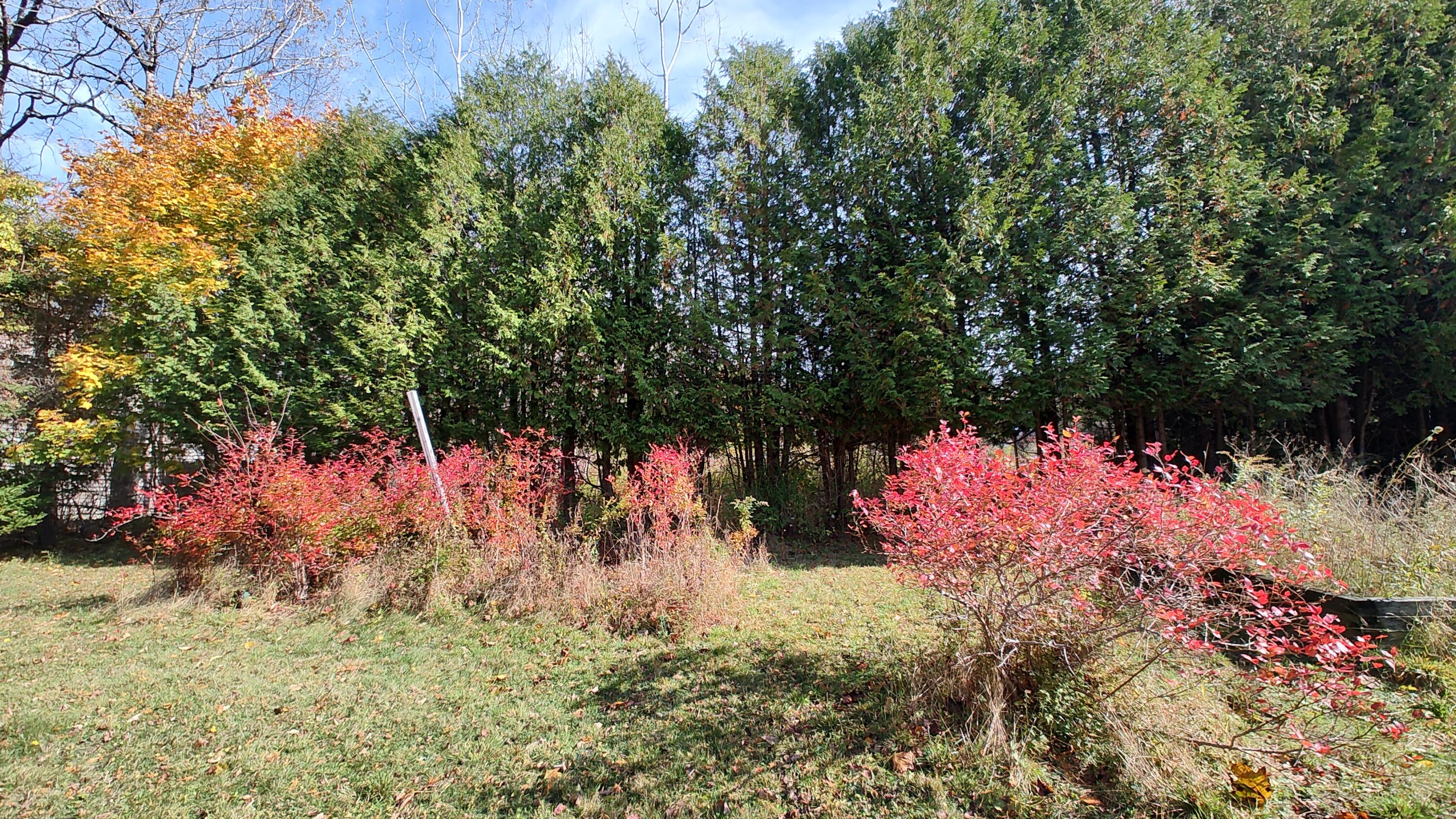 4 Cedar Street Bucksport ME 04416