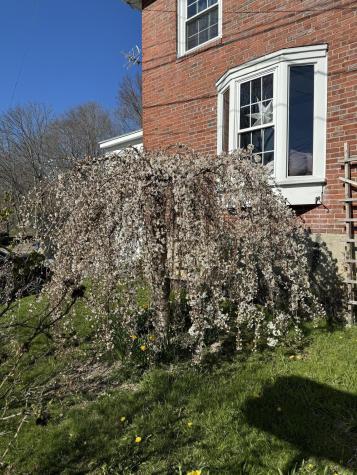 133 Dummer Street Bath ME 04530