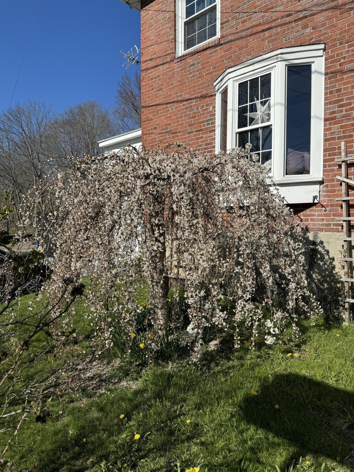 133 Dummer Street Bath ME 04530