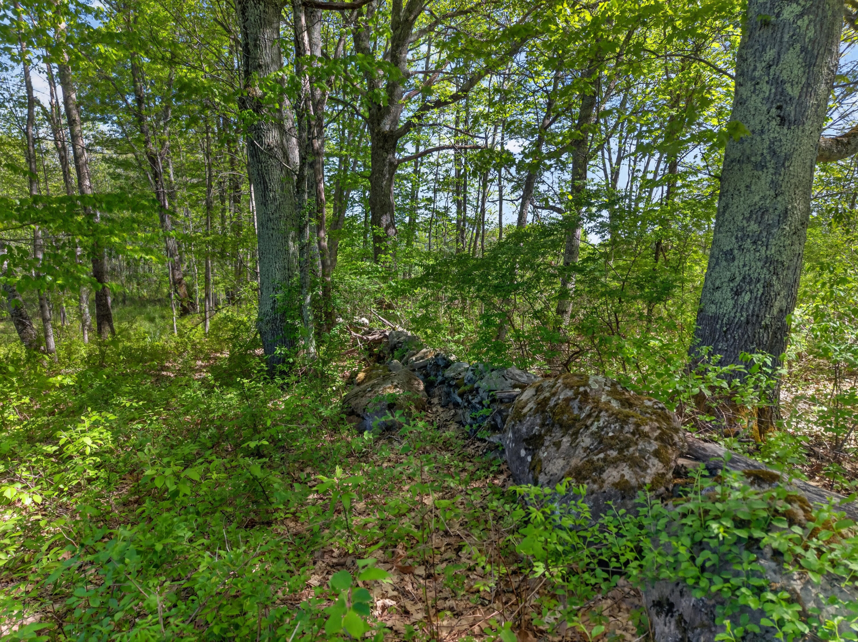 426 Bay Road Bowdoinham ME 04008