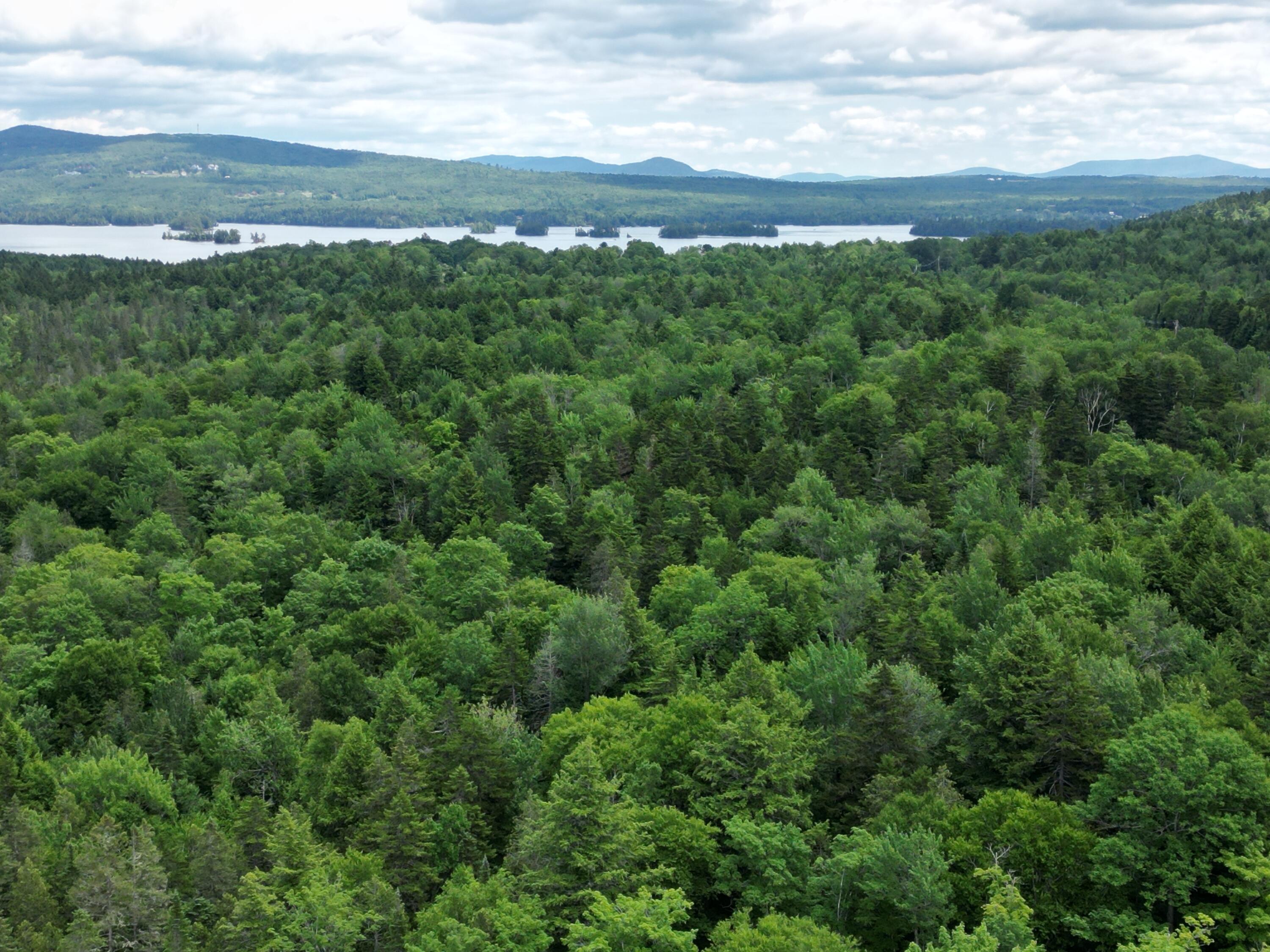 479 Rockwood Road Moosehead Junction Twp ME 04441