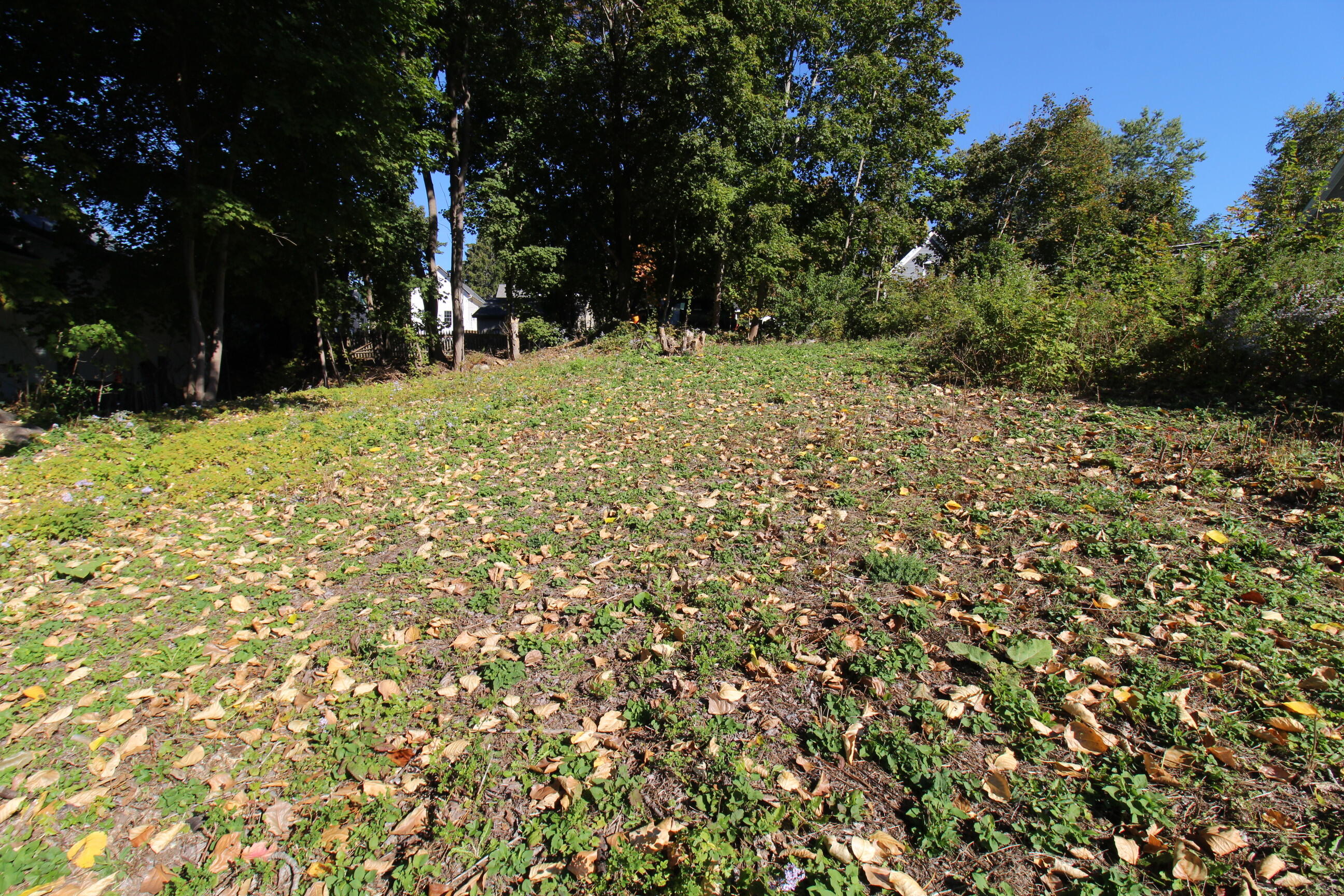 8 Bridge Street Bucksport ME 04416