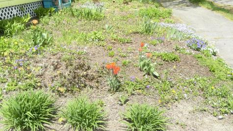 128 Fern Street Bangor ME 04401