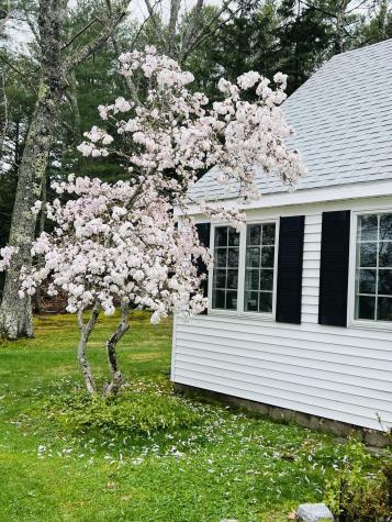329 Salt Pond Road Blue Hill ME 04614