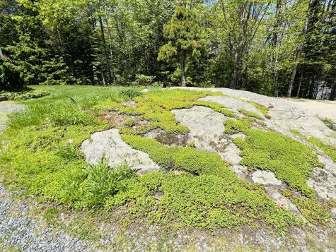 329 Salt Pond Road Blue Hill ME 04614