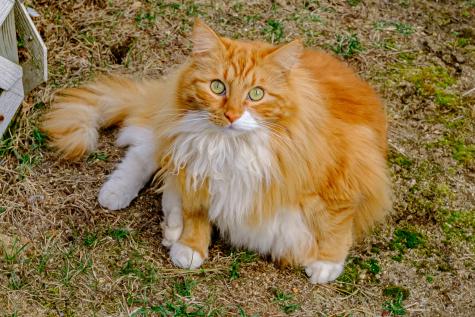 29 Everett Avenue Oxford ME 04270