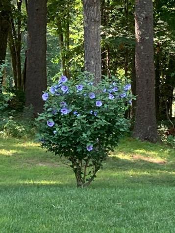 824 Duck Pond Road Westbrook ME 04092