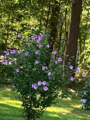 824 Duck Pond Road Westbrook ME 04092