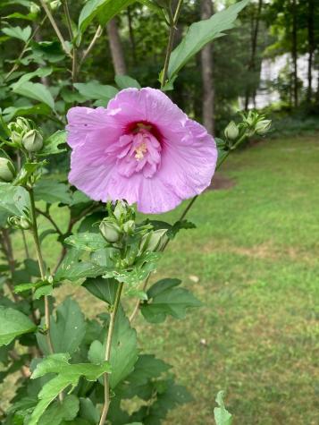 824 Duck Pond Road Westbrook ME 04092