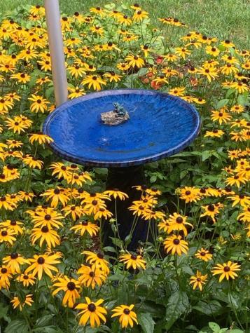 824 Duck Pond Road Westbrook ME 04092