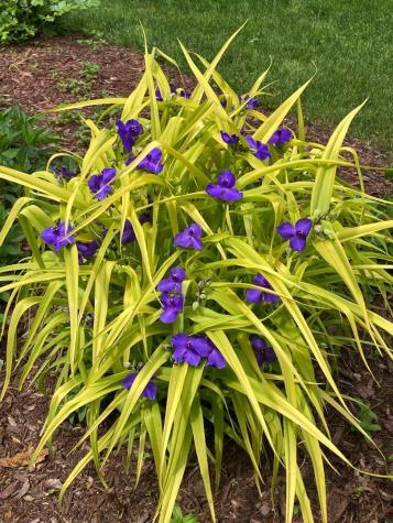 824 Duck Pond Road Westbrook ME 04092