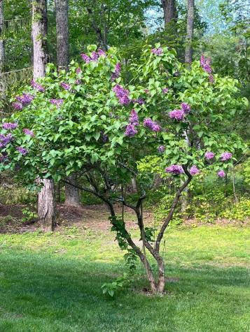 824 Duck Pond Road Westbrook ME 04092