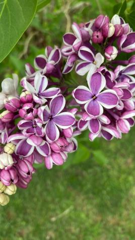 824 Duck Pond Road Westbrook ME 04092