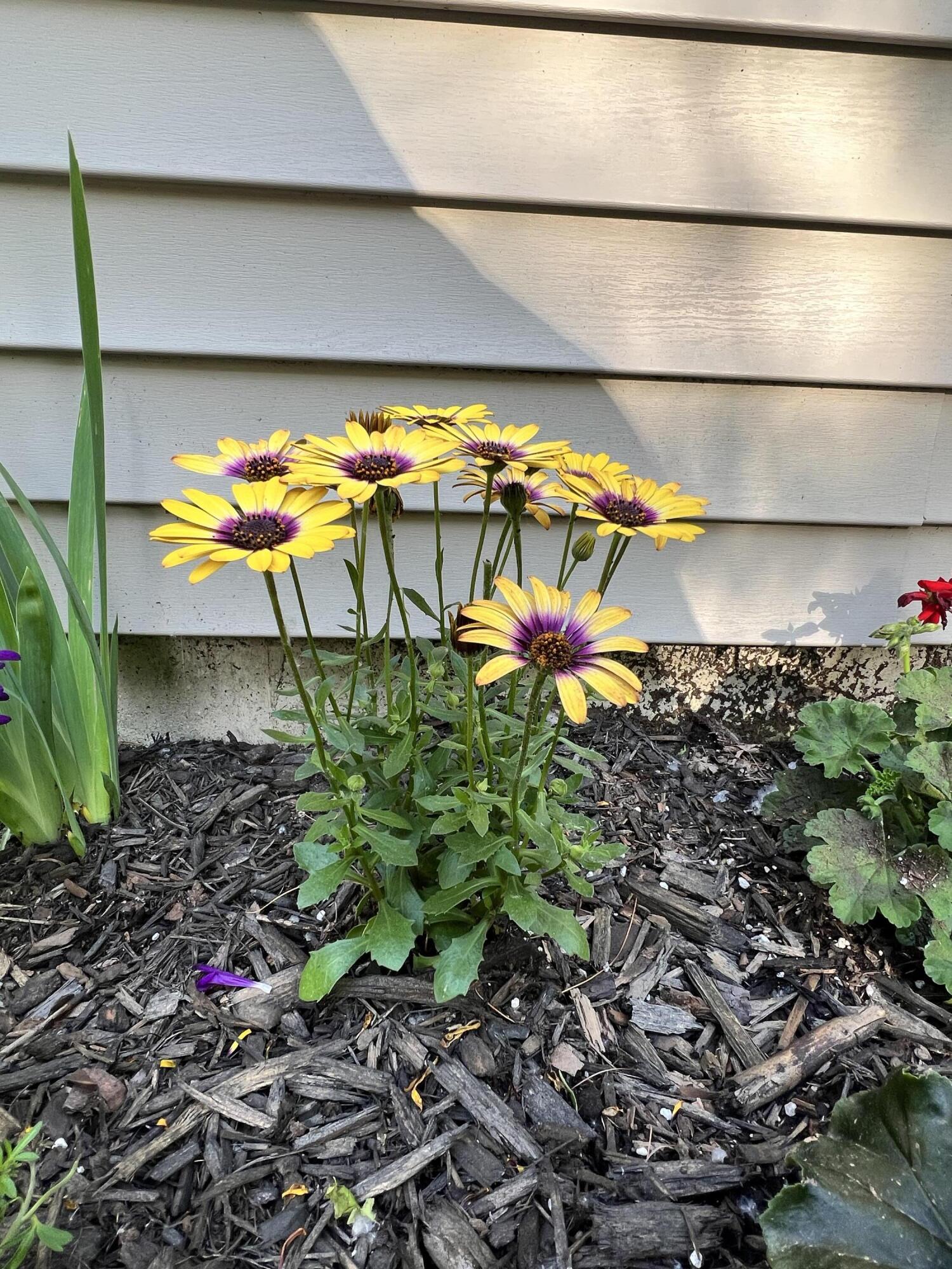 701 Stetson Road Exeter ME 04435