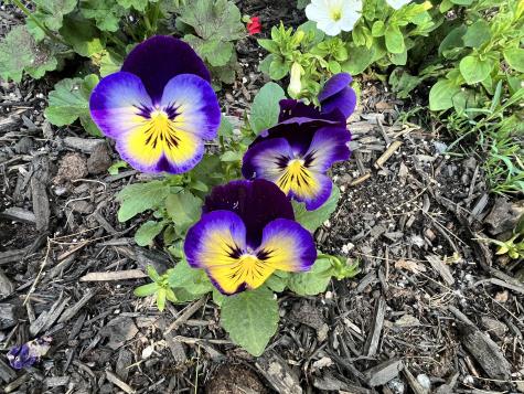 701 Stetson Road Exeter ME 04435