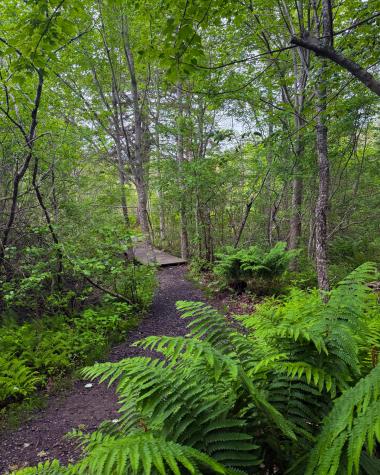 260 Clark Island Road Saint George ME 04859