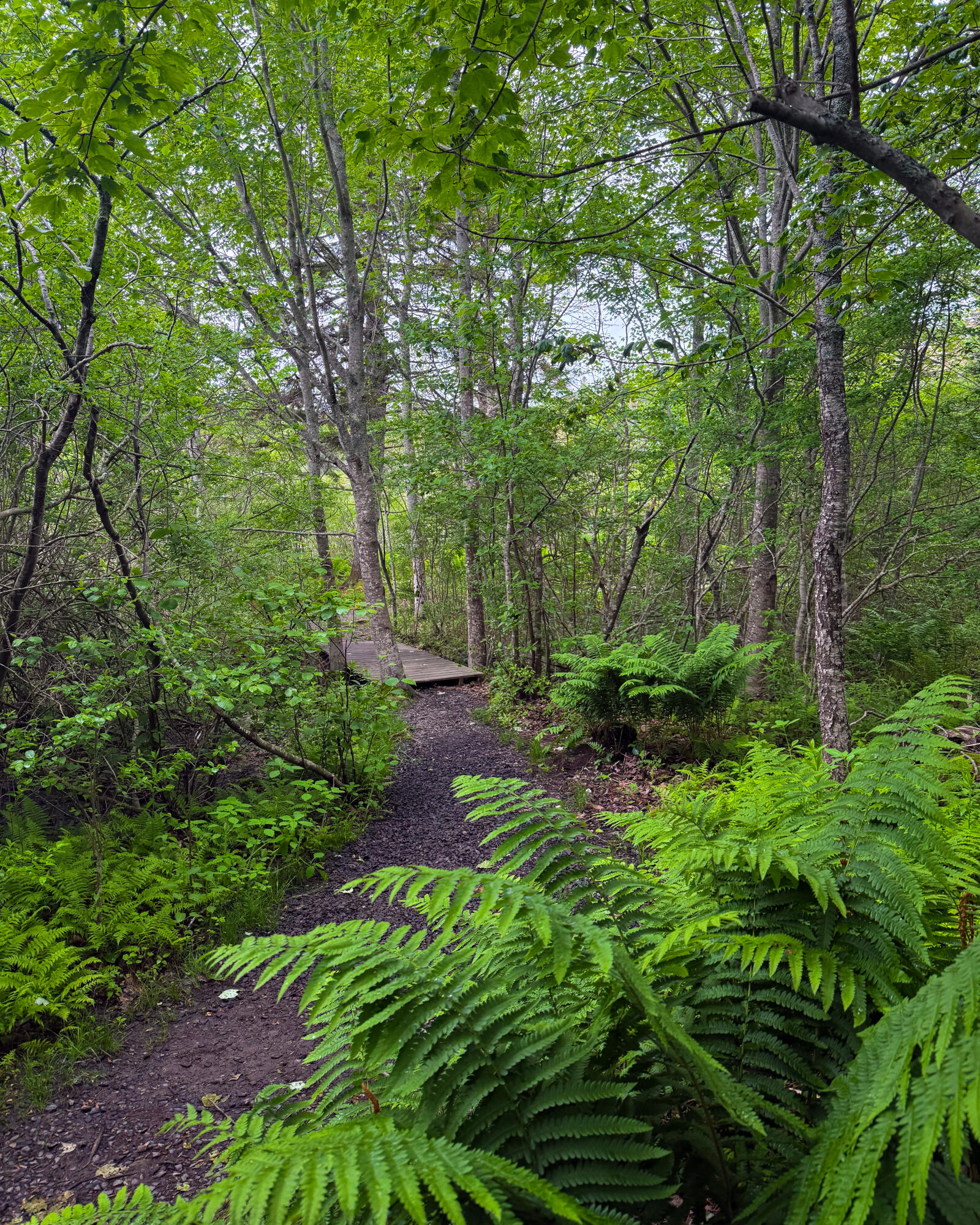 260 Clark Island Road Saint George ME 04859