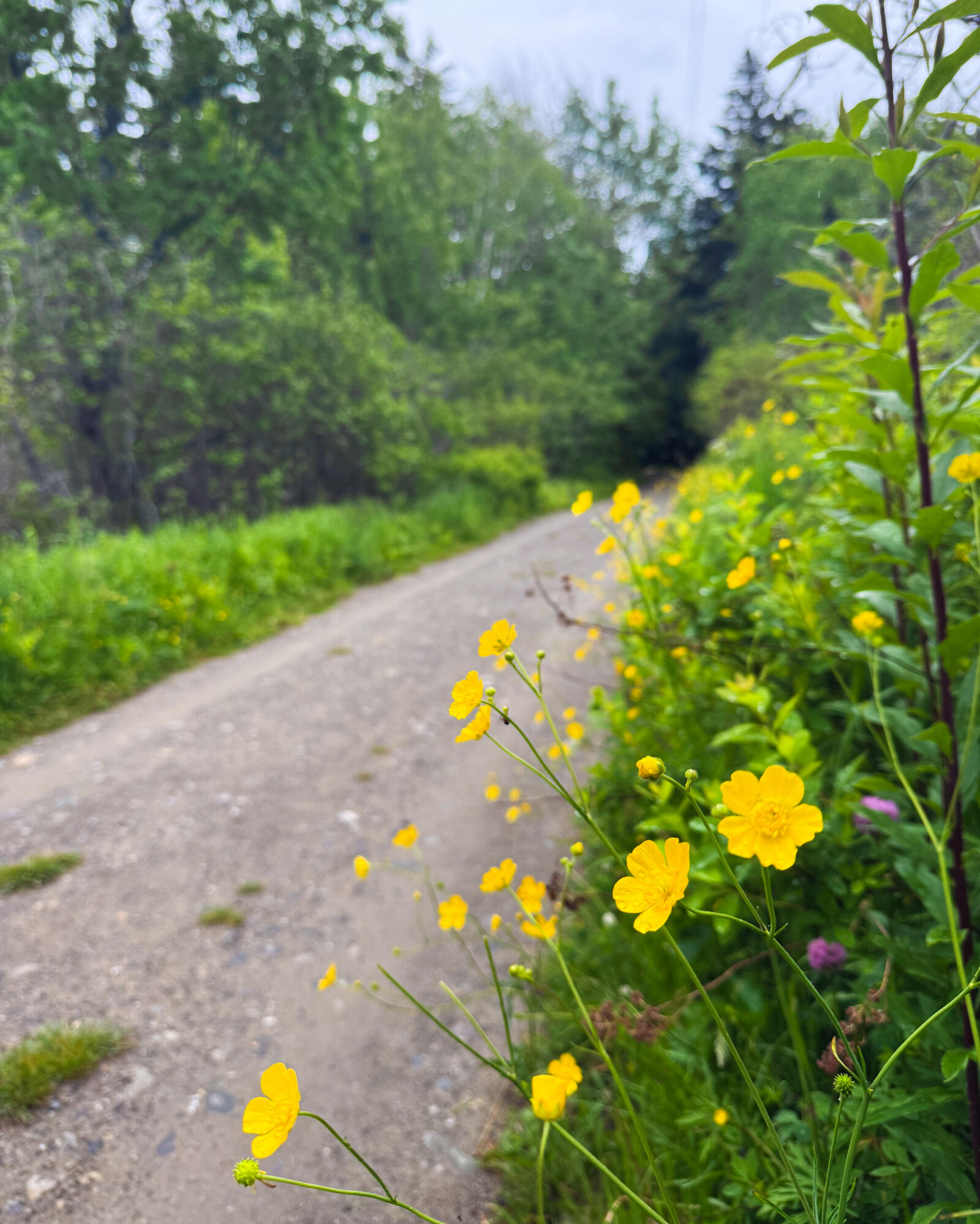 260 Clark Island Road Saint George ME 04859