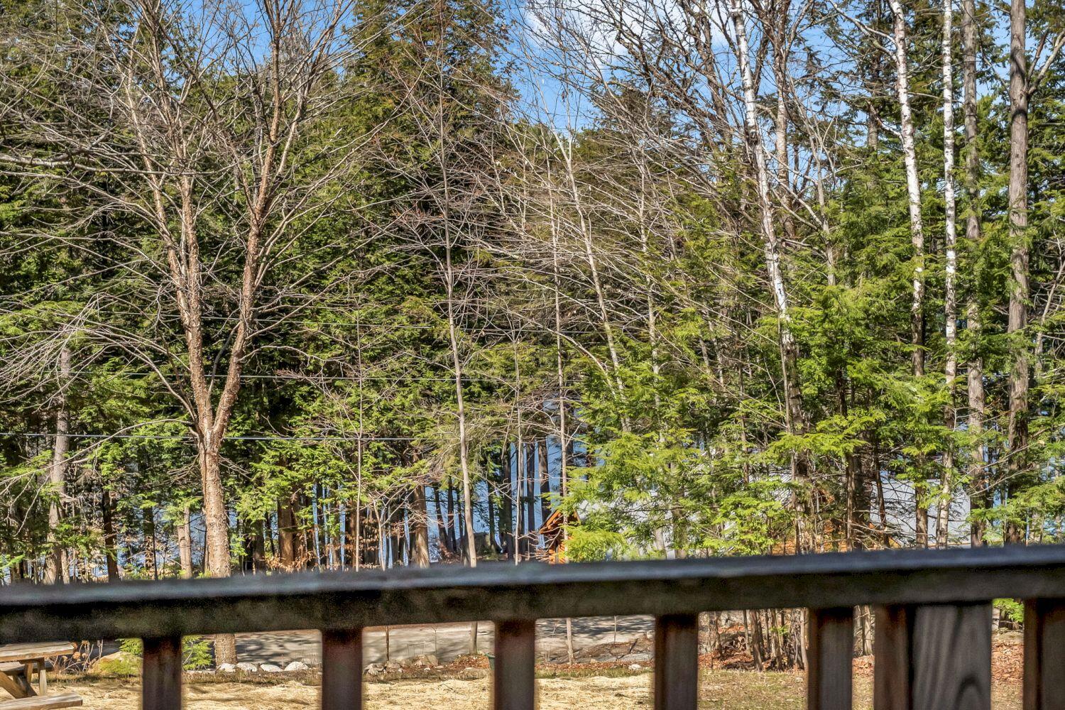 59 Fellows Cove Road Fayette ME 04349
