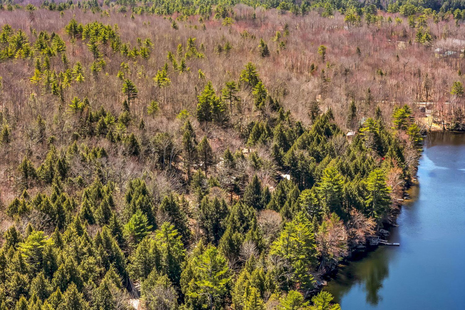 59 Fellows Cove Road Fayette ME 04349
