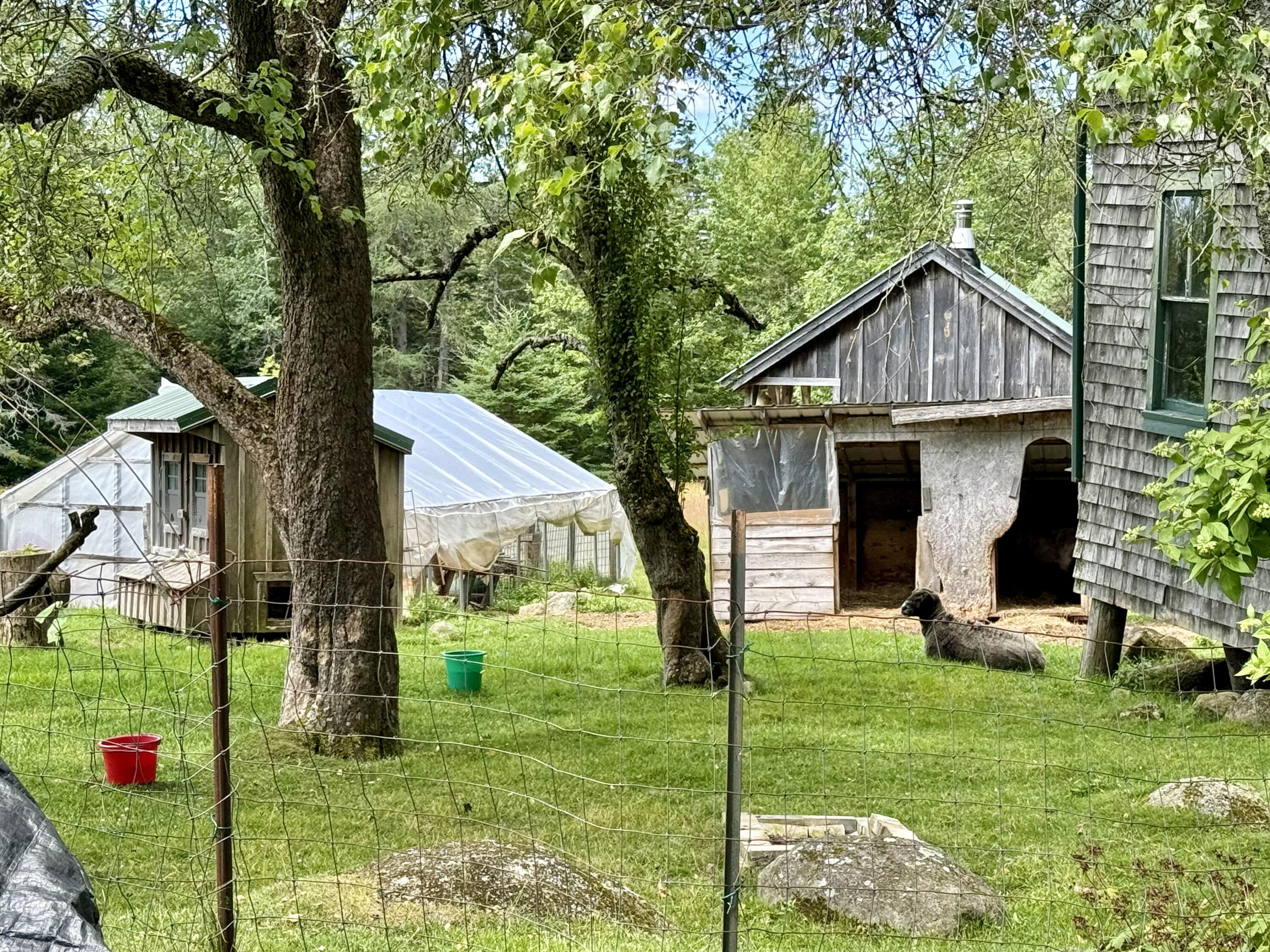 263 Marshville Road Harrington ME 04643