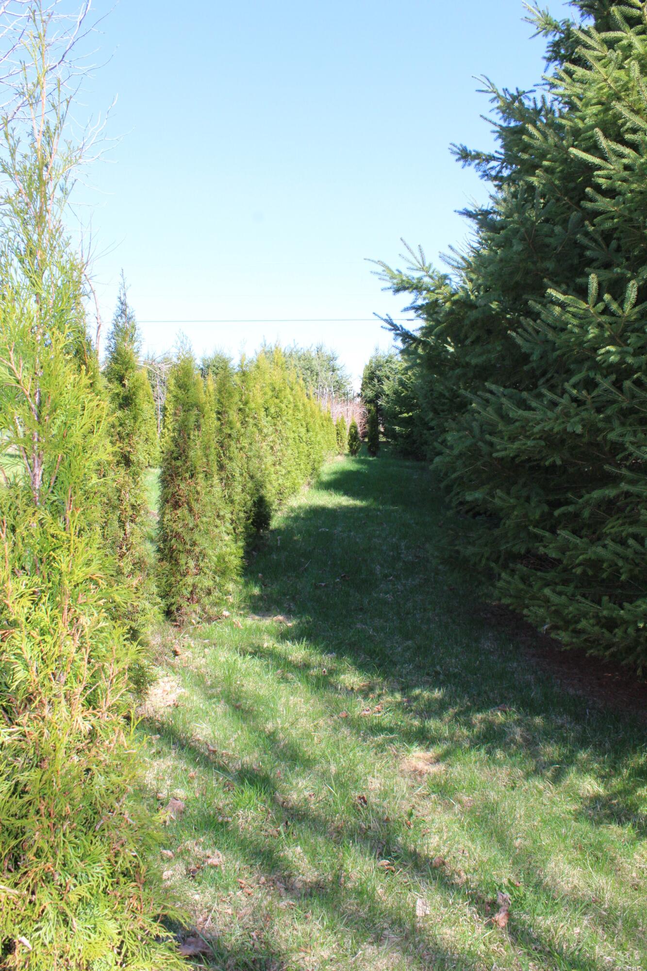 759 Brooks Road Knox ME 04986