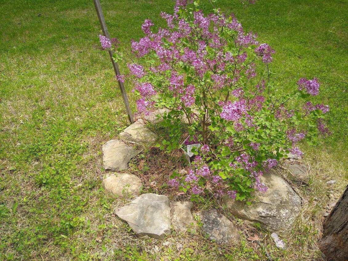 162 Hill Road T1 R9 Wels ME 04462