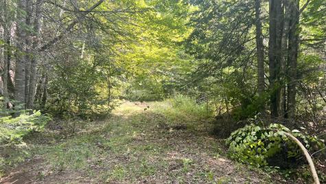 99 Stone Ridge Road Garland ME 04939